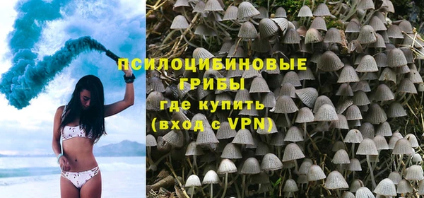 стафф Нефтегорск