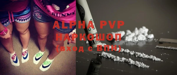 дмт Новокубанск