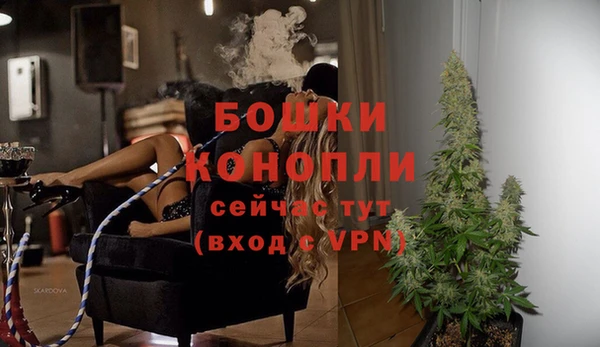 бошки Новодвинск