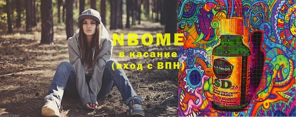 бошки Новодвинск