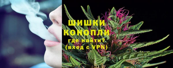 дмт Новокубанск