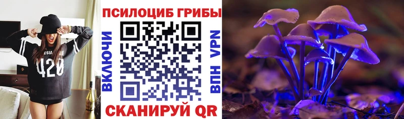 Псилоцибиновые грибы мицелий Навашино