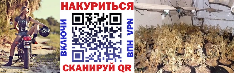 МЕГА сайт Навашино Бошки марихуана индика